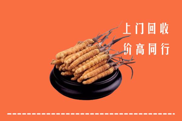 高价求购：兴隆台区回收散虫草