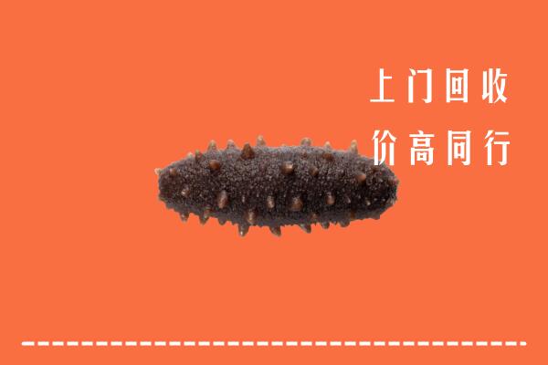 高价求购：兴隆台区回收海参